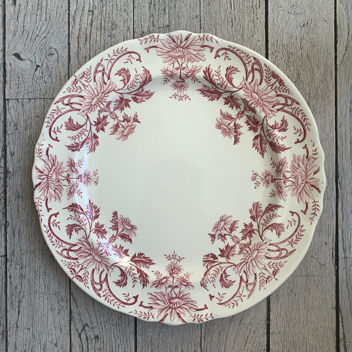 Assiette plate terre de fer rouge Pâquerettes Longchamp