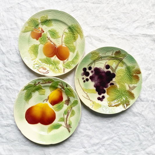 Fruits barbotine