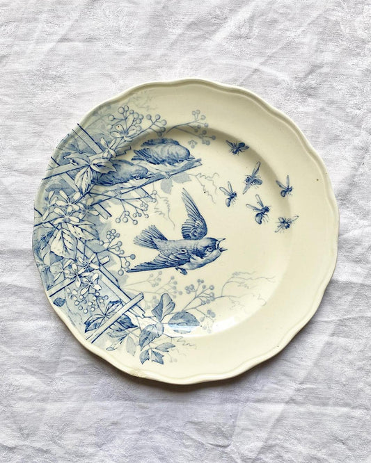 Assiette terre de fer Spring Service Clairefontaine