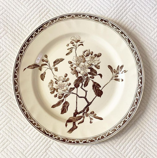 Plat terre de fer sepia Creil & Montereau pommier en fleurs cerisiers